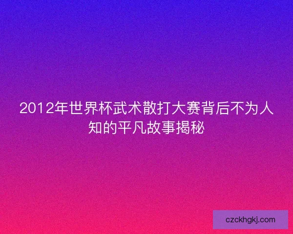 2012年世界杯武术散打大赛背后不为人知的平凡故事揭秘