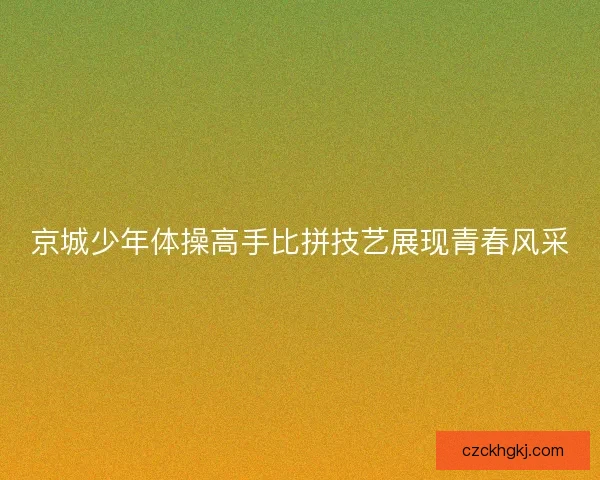 京城少年体操高手比拼技艺展现青春风采
